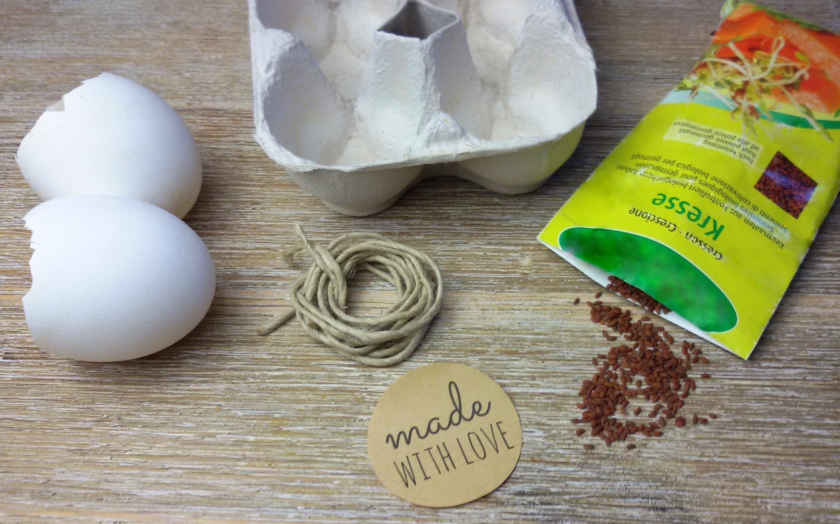 Kresse-Eier DIY Anleitung