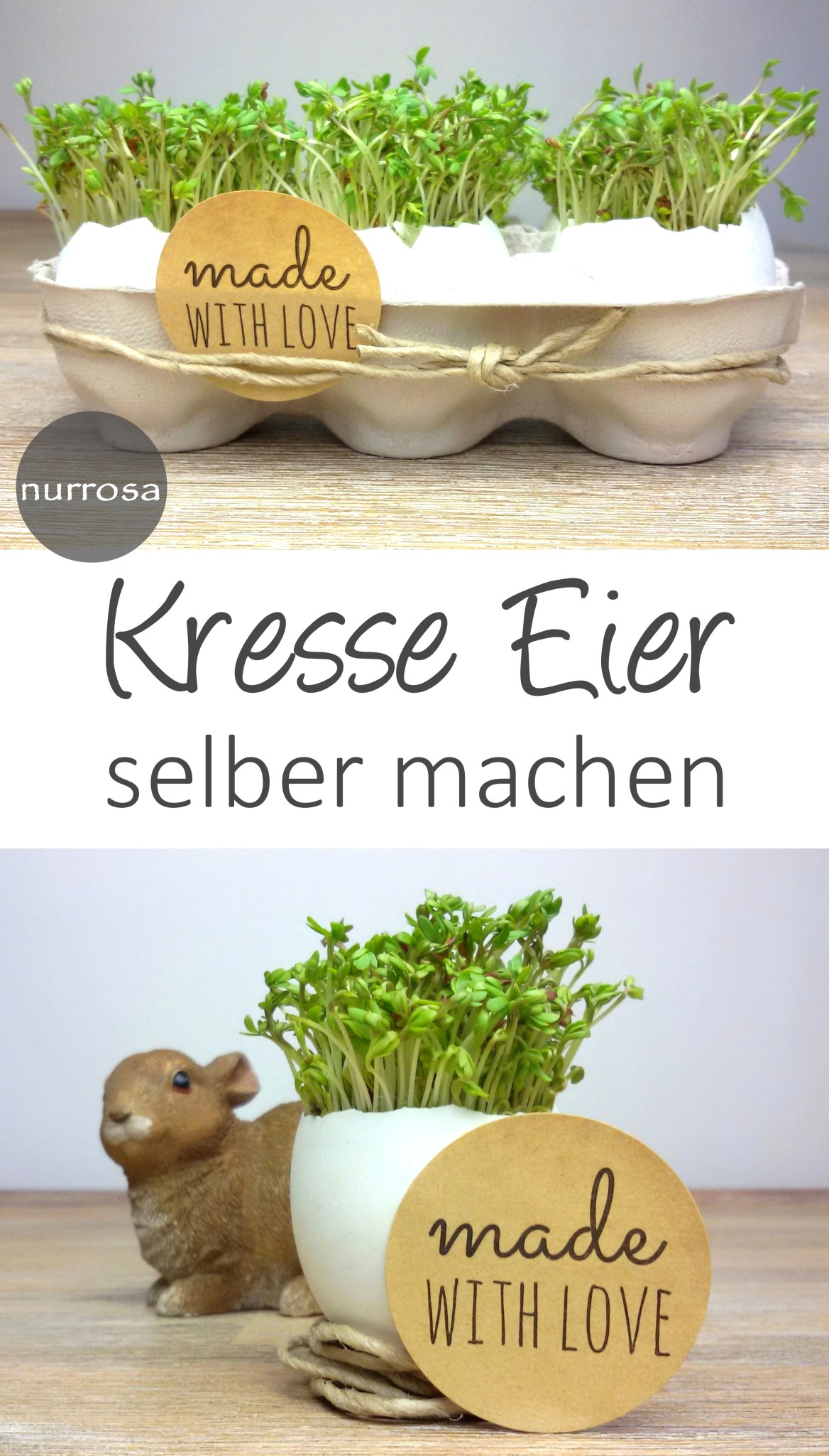 Kresse Eier selber machen