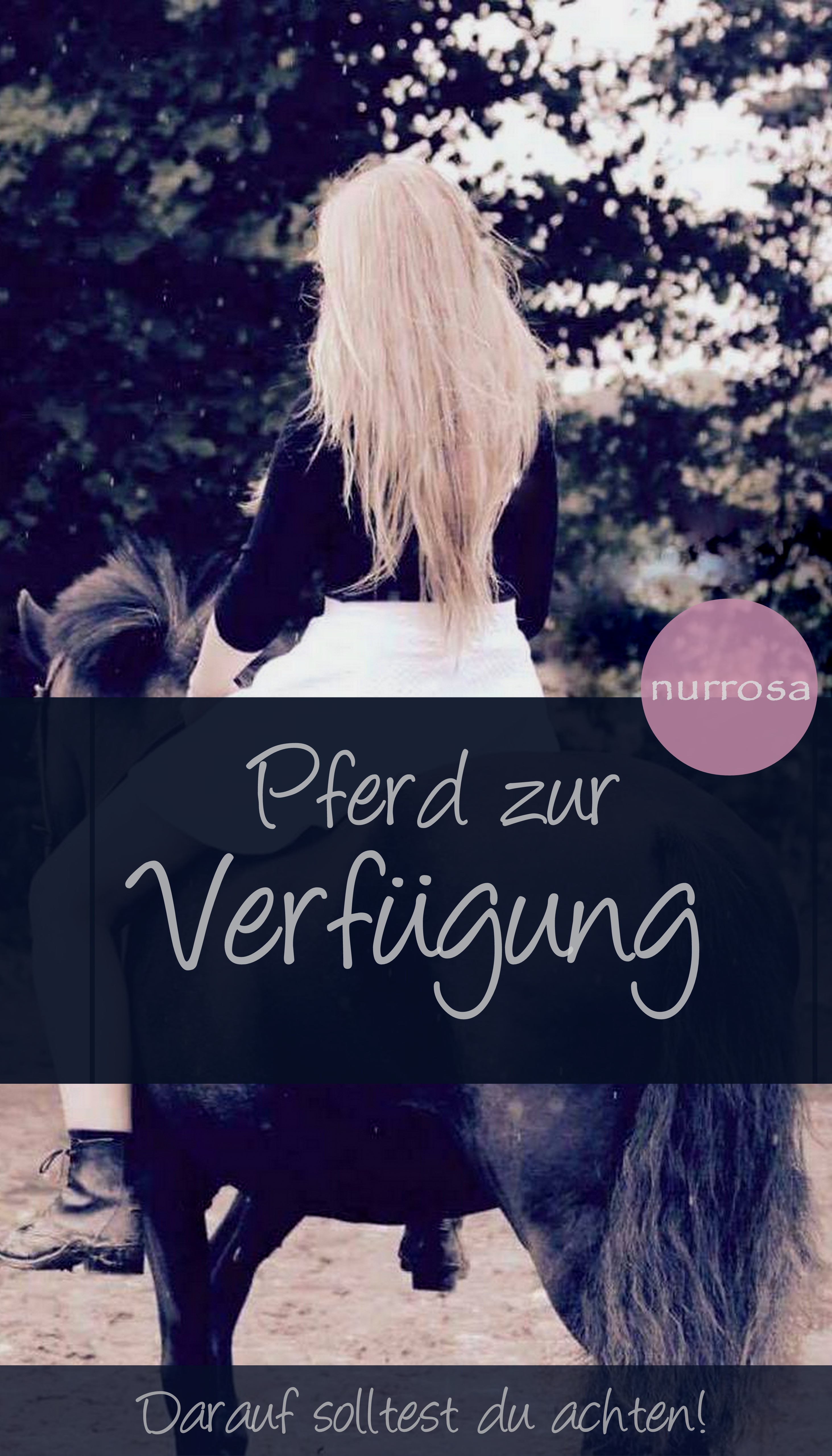 Pferd zur Verfügung - darauf solltest du achten