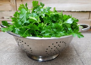 Kräuter plastikfrei einfrieren