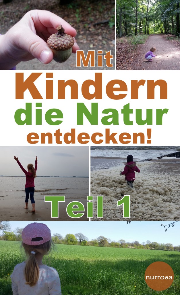 Mit Kindern die Natur entdecken Teil 1 - Pilze