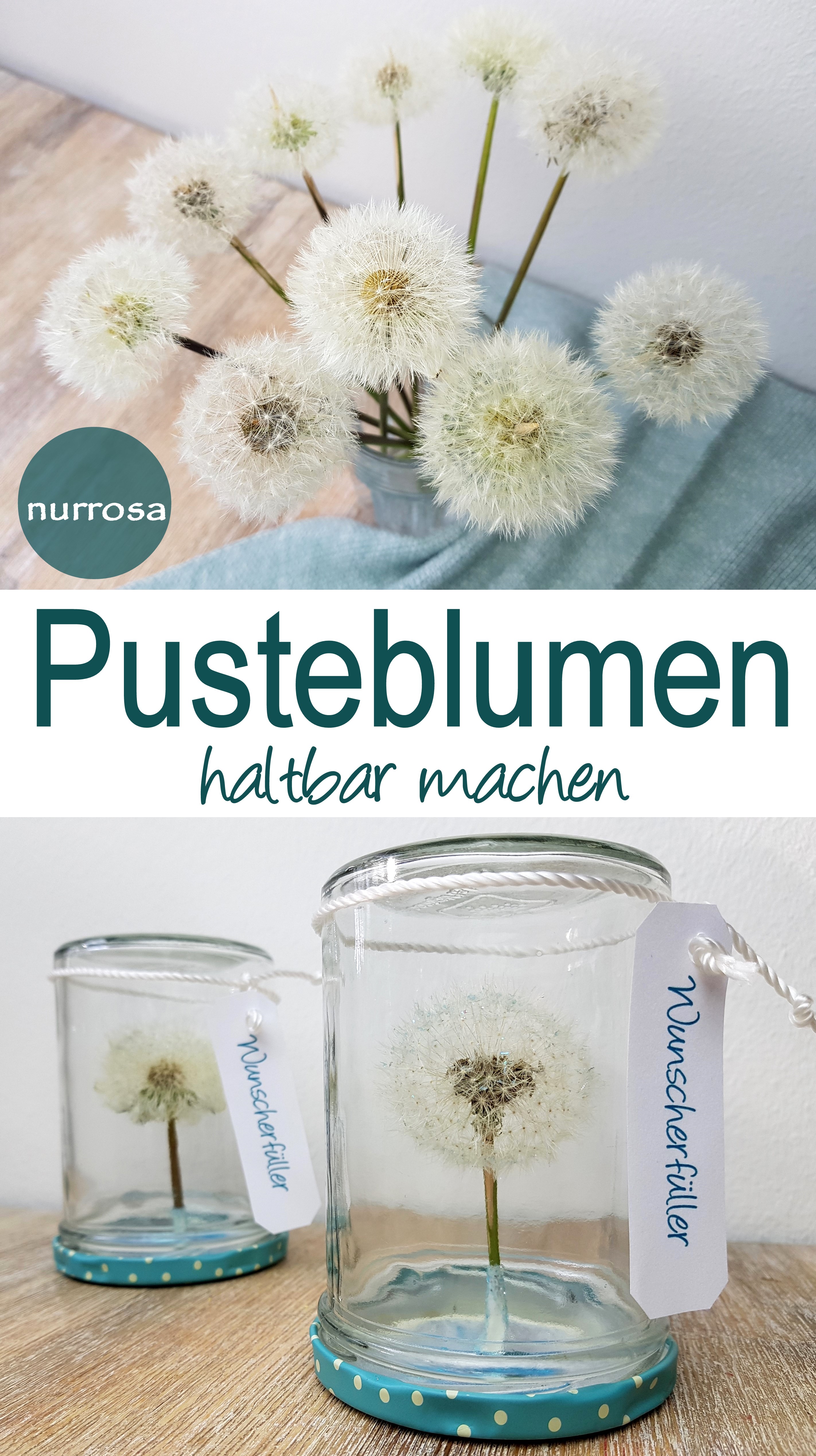 Pusteblumen haltbar machen