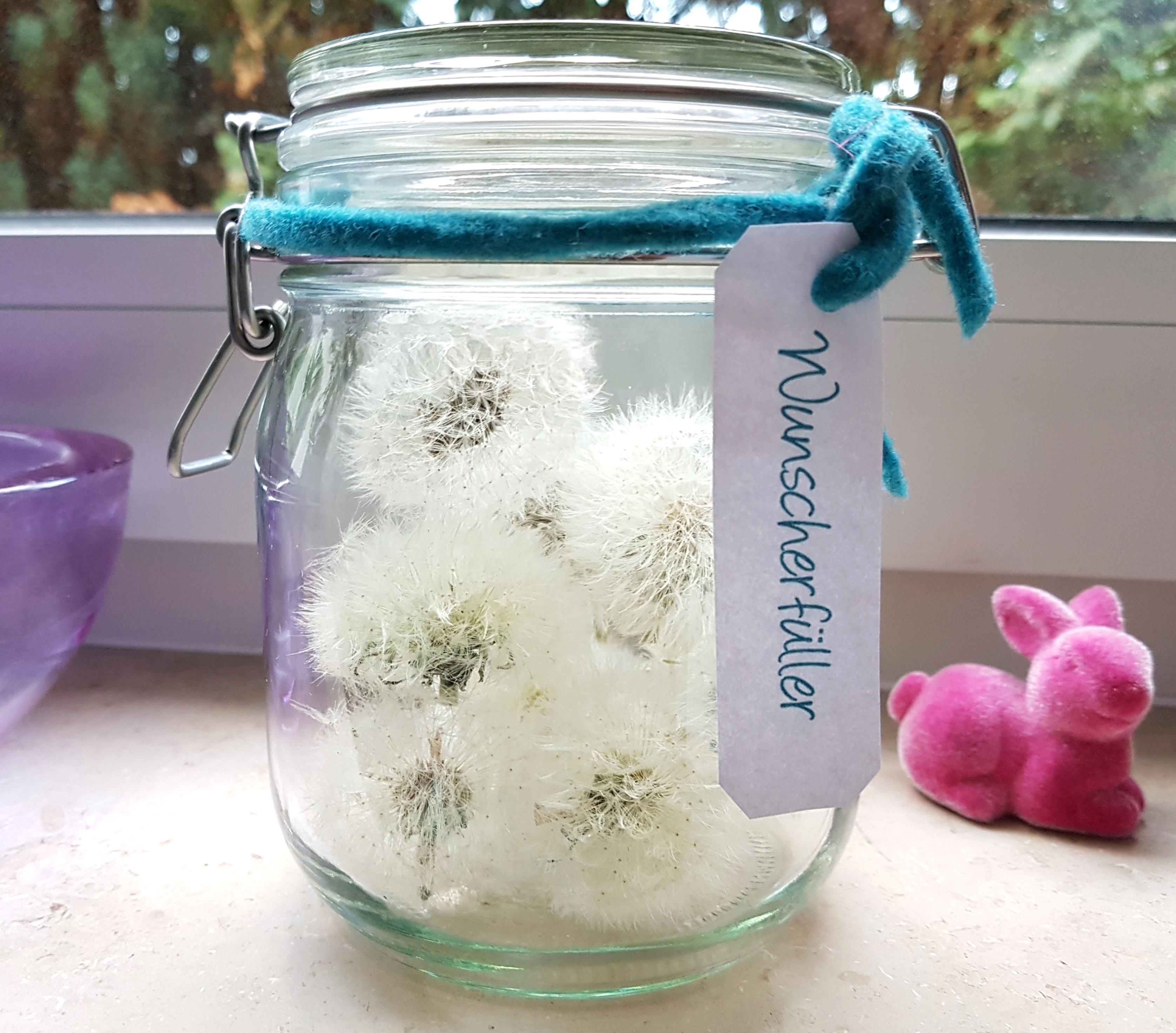 Pusteblumen Wunscherfüller