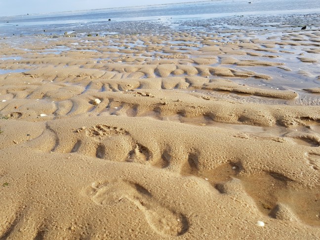 Das Wattenmeer - Wattwandern